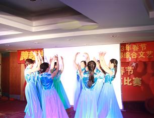 跨越祥和，超越自我—2013春節(jié)聯(lián)歡--財(cái)務(wù)處